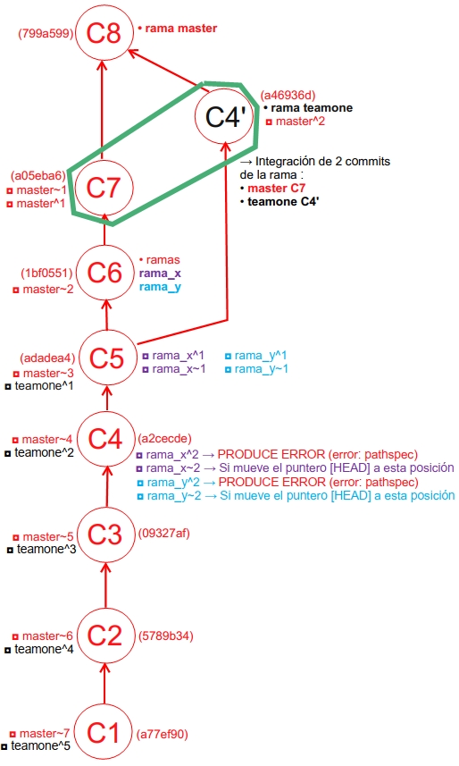 Grafico del Ancestros y Padres